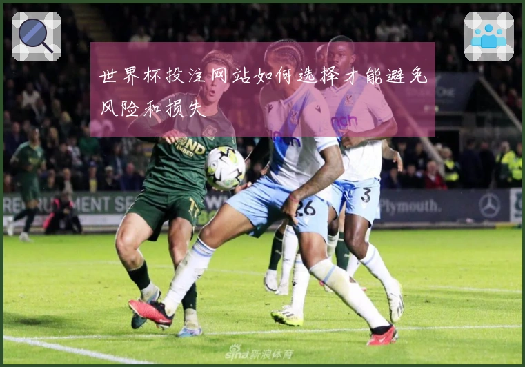 世界杯投注网站如何选择才能避免风险和损失