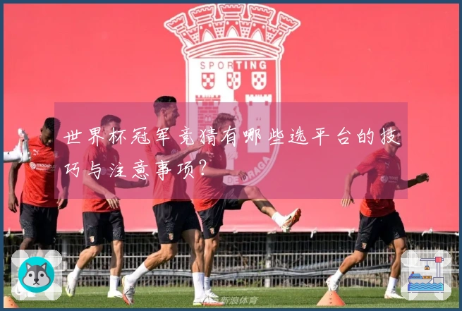 世界杯冠军竞猜有哪些选平台的技巧与注意事项？
