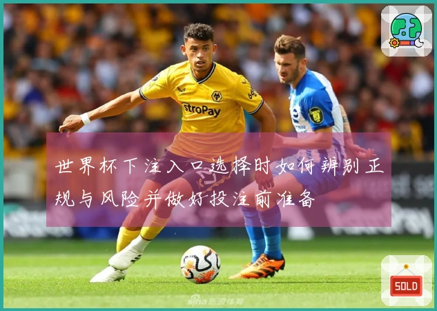 世界杯下注入口选择时如何辨别正规与风险并做好投注前准备