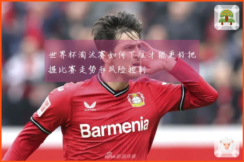 世界杯淘汰赛如何下注才能更好把握比赛走势和风险控制