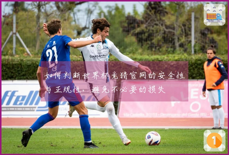 如何判断世界杯竞猜官网的安全性与正规性，避免不必要的损失