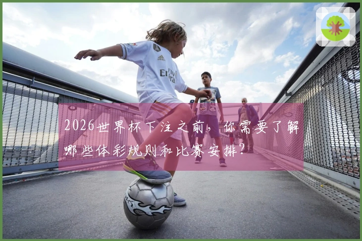 2026世界杯下注之前，你需要了解哪些体彩规则和比赛安排？