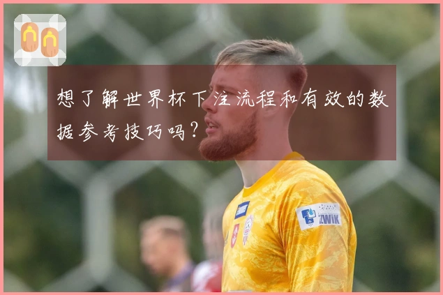 想了解世界杯下注流程和有效的数据参考技巧吗？