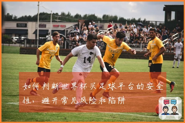 如何判断世界杯买足球平台的安全性，避开常见风险和陷阱