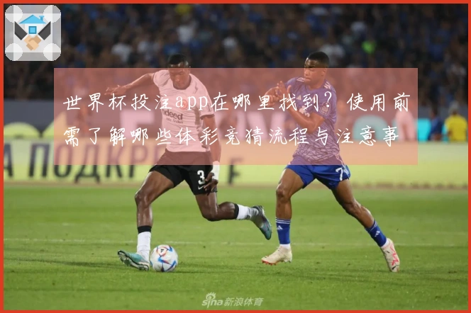 世界杯投注app在哪里找到？使用前需了解哪些体彩竞猜流程与注意事项