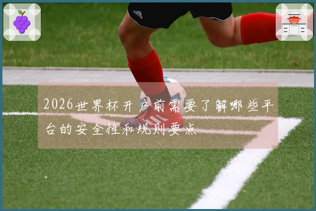 2026世界杯开户前需要了解哪些平台的安全性和规则要点