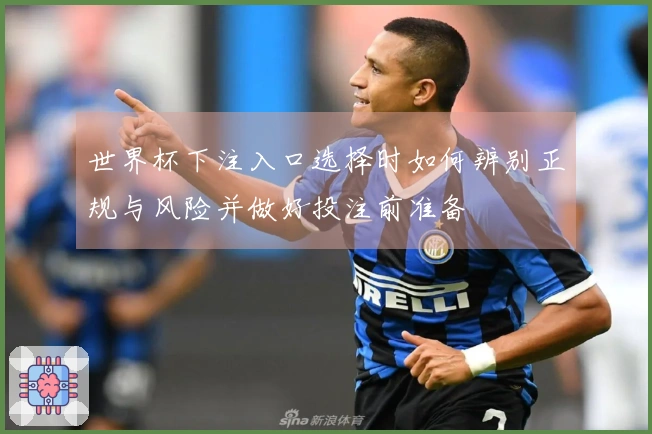 世界杯下注入口选择时如何辨别正规与风险并做好投注前准备