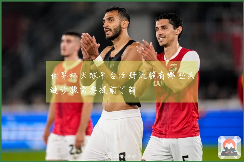 世界杯买球平台注册流程有哪些关键步骤需要提前了解