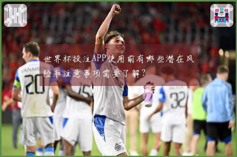 世界杯投注APP使用前有哪些潜在风险和注意事项需要了解?