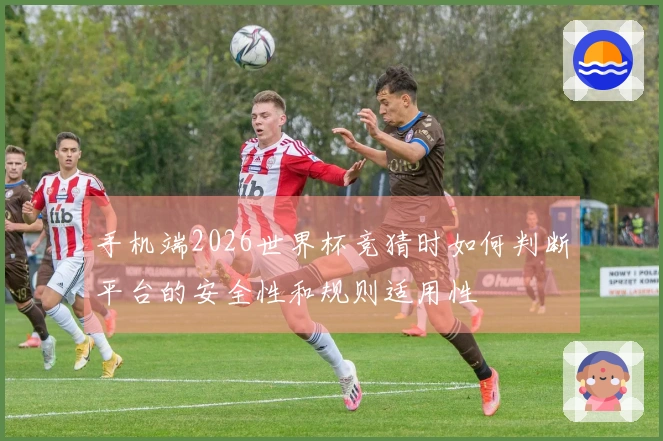 手机端2026世界杯竞猜时如何判断平台的安全性和规则适用性