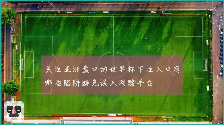 关注亚洲盘口的世界杯下注入口有哪些陷阱避免误入网赌平台