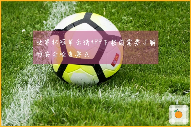 世界杯冠军竞猜APP下载前需要了解的安全检查要点
