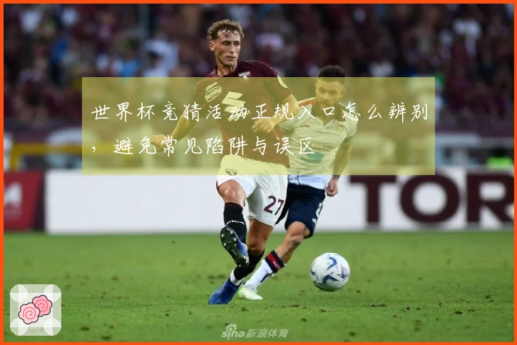 世界杯竞猜活动正规入口怎么辨别，避免常见陷阱与误区