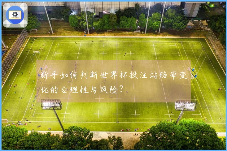新手如何判断世界杯投注站赔率变化的合理性与风险？
