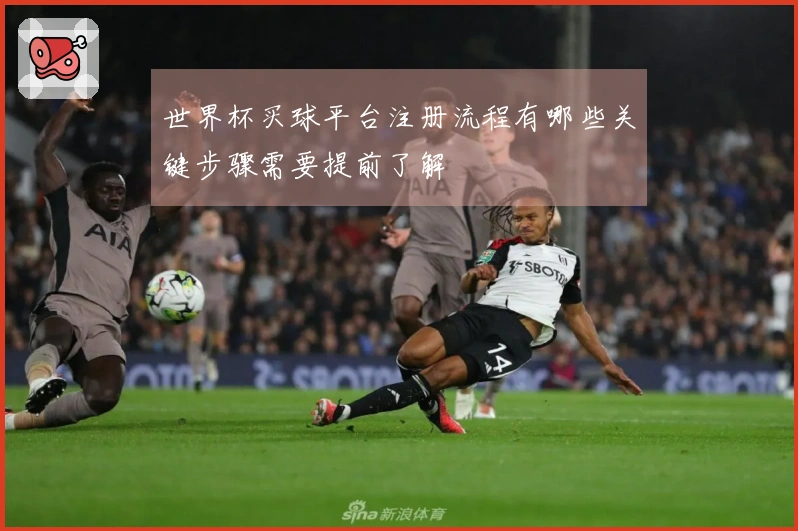 世界杯买球平台注册流程有哪些关键步骤需要提前了解